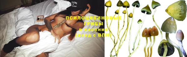 бошки Абинск