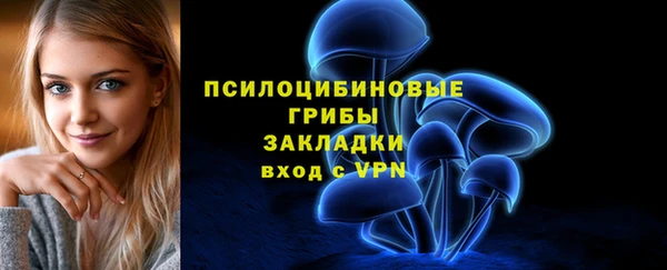 ECSTASY Абаза