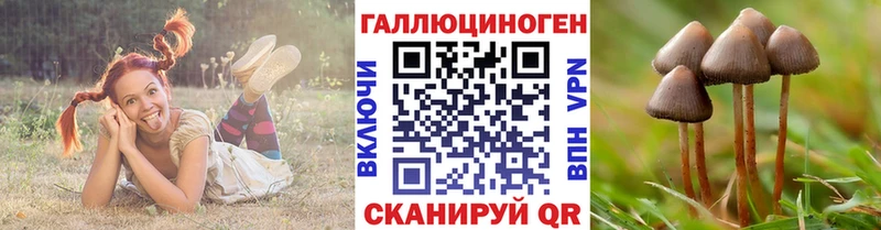 Галлюциногенные грибы Magic Shrooms Пудож